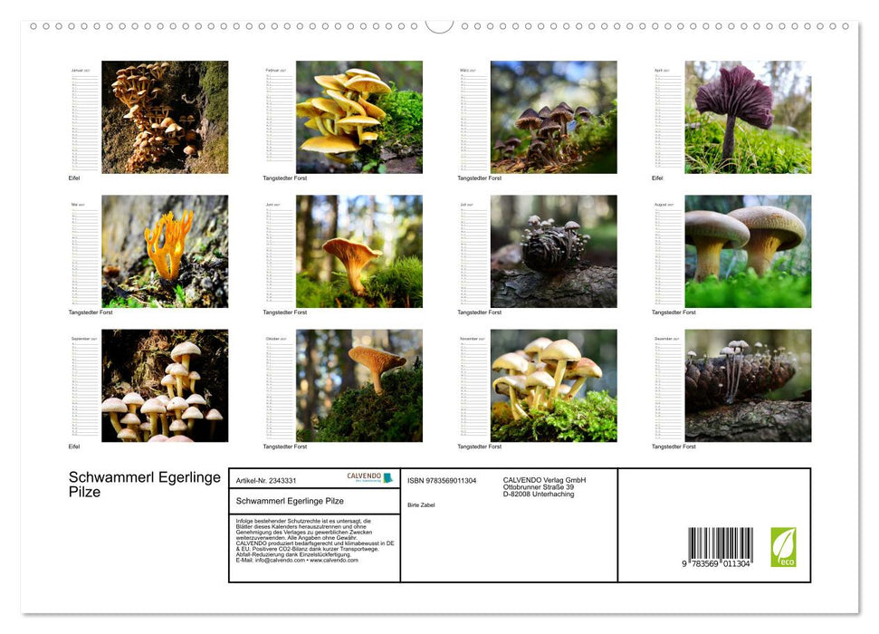 Schwammerl Egerlinge Pilze (CALVENDO Premium Wandkalender 2027)