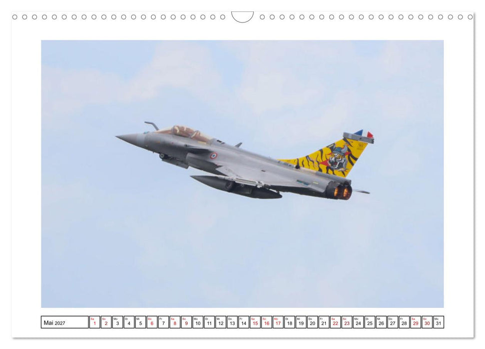 Nato Tiger Meet Schleswig (CALVENDO Wandkalender 2027)