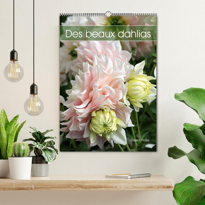 Des beaux dahlias (CALVENDO Calendrier mensuel 2027)