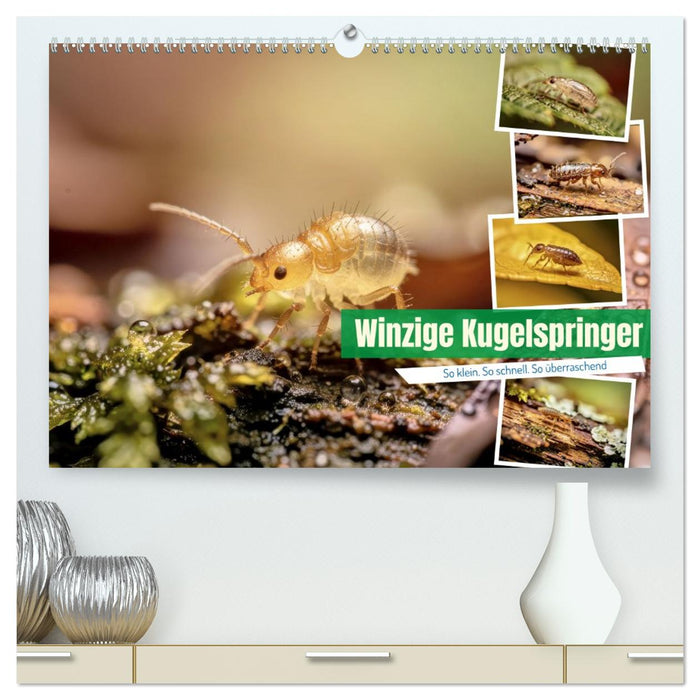 Winzige Kugelspringer (CALVENDO Premium Wandkalender 2027)