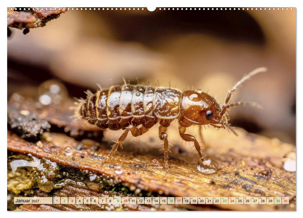 Winzige Kugelspringer (CALVENDO Premium Wandkalender 2027)