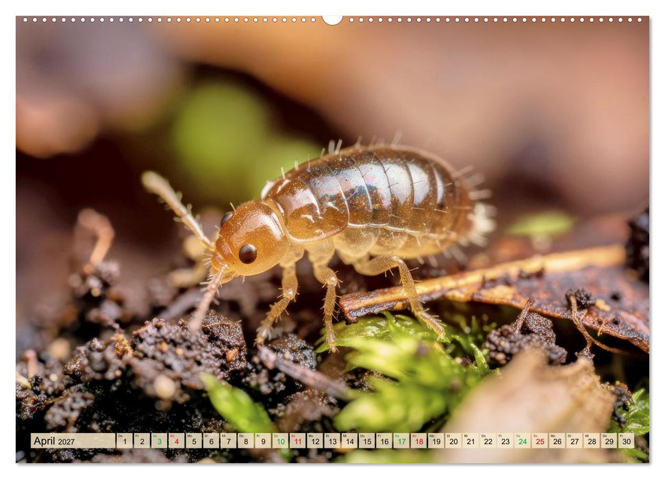 Winzige Kugelspringer (CALVENDO Premium Wandkalender 2027)