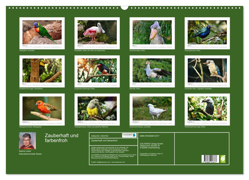 Zauberhaft und farbenfroh (CALVENDO Wandkalender 2027)