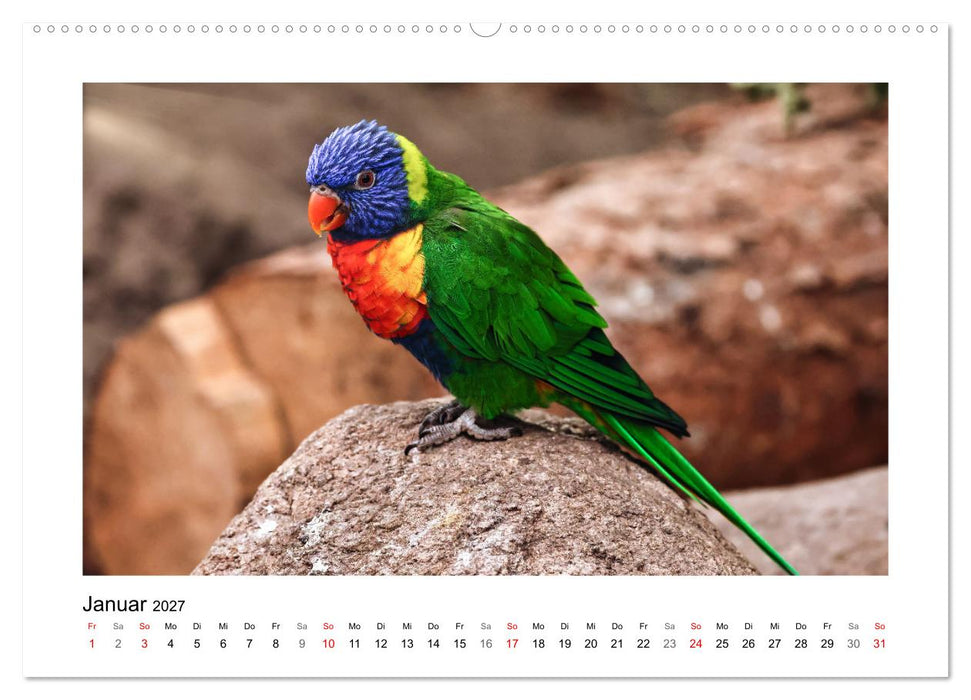Zauberhaft und farbenfroh (CALVENDO Wandkalender 2027)