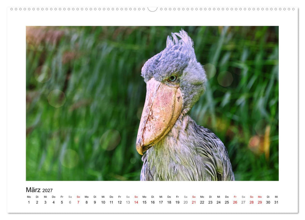 Zauberhaft und farbenfroh (CALVENDO Wandkalender 2027)