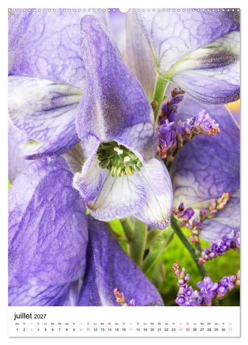 Joie avec des fleurs (CALVENDO Calendrier supérieur 2027)