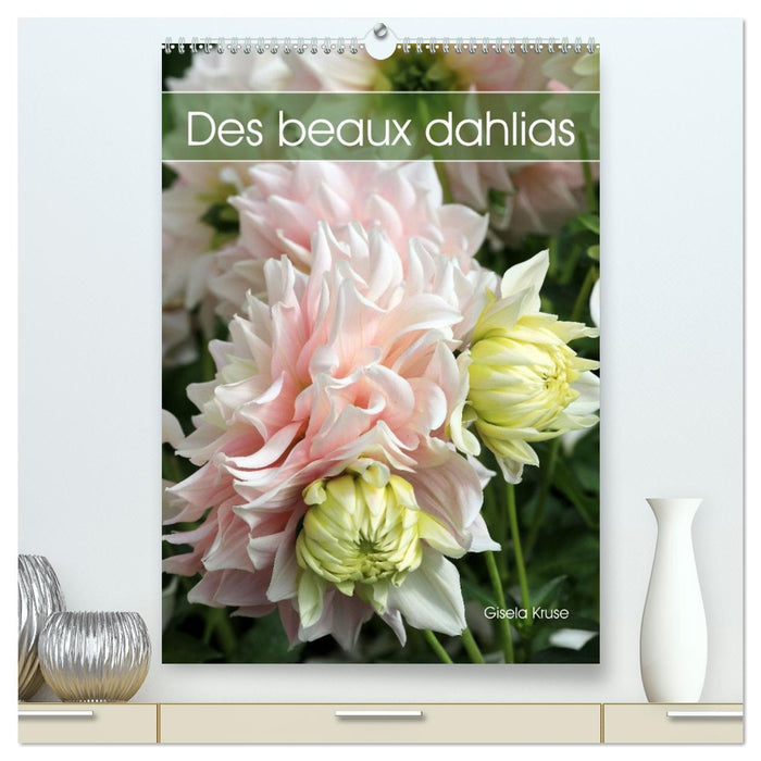 Des beaux dahlias (CALVENDO Calendrier supérieur 2027)
