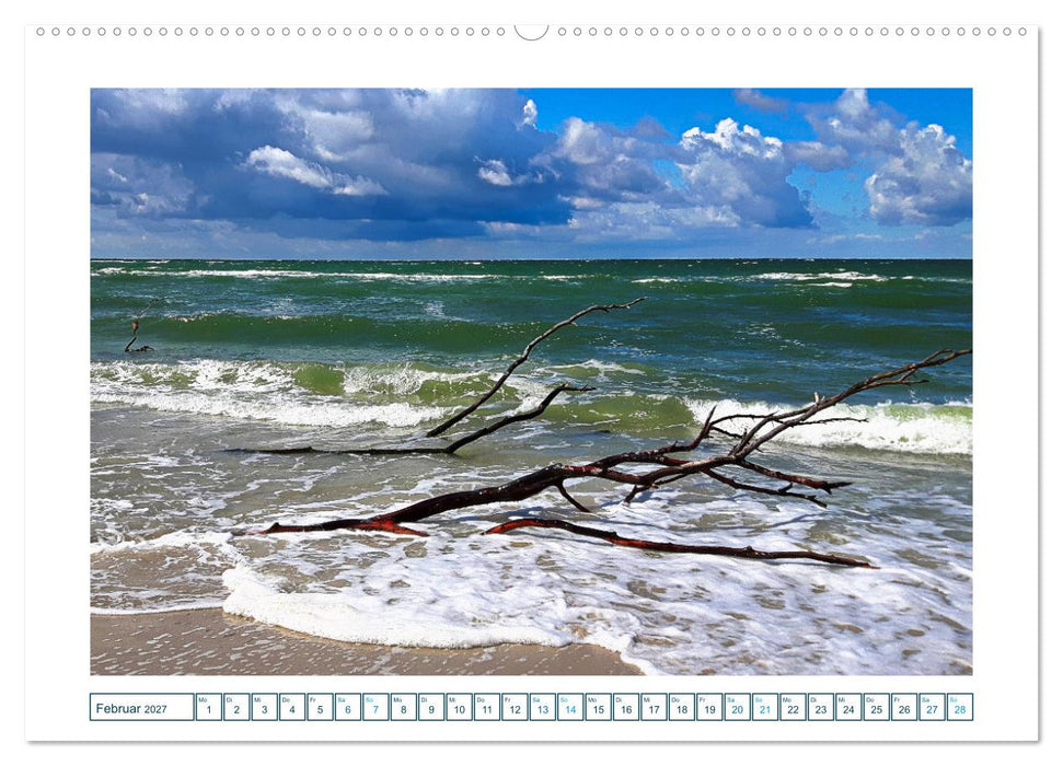 Der Weststrand am Darß (CALVENDO Premium Wandkalender 2027)