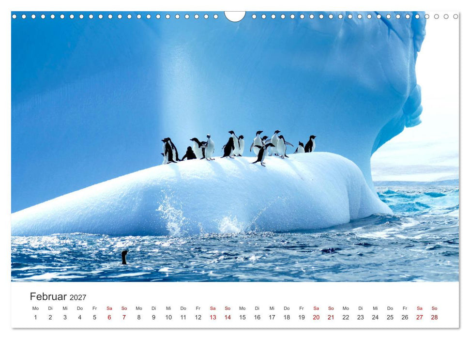 Kreuzfahrtpiraten (CALVENDO Wandkalender 2027)