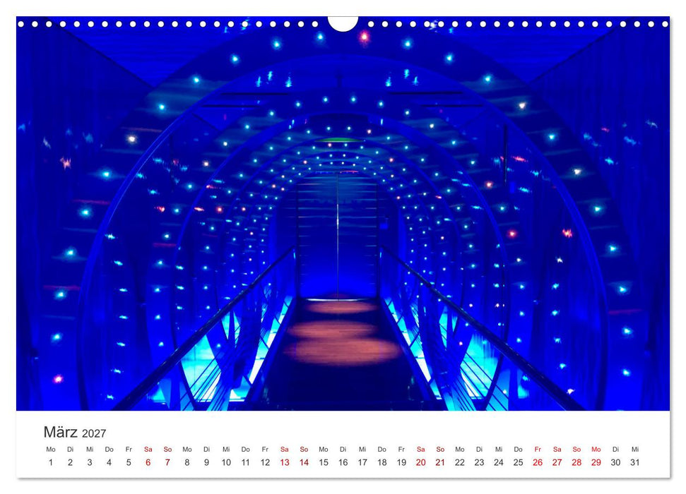 Kreuzfahrtpiraten (CALVENDO Wandkalender 2027)