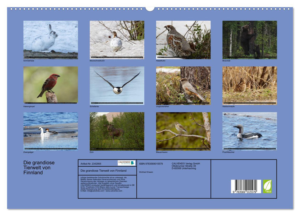Die grandiose Tierwelt von Finnland (CALVENDO Premium Wandkalender 2027)