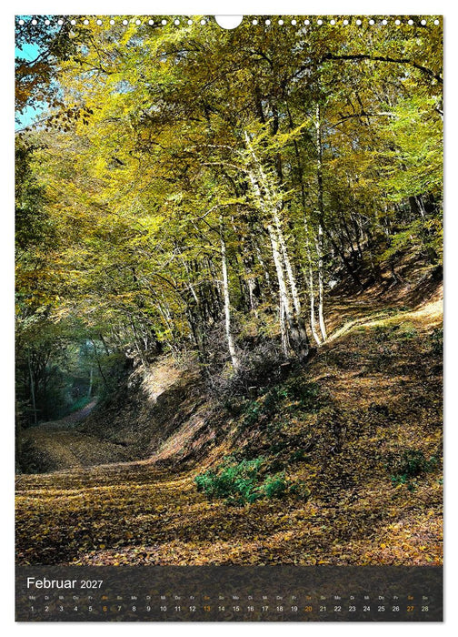 Eifel Traumpfad Höhlen- und Schluchtenstieg (CALVENDO Wandkalender 2027)