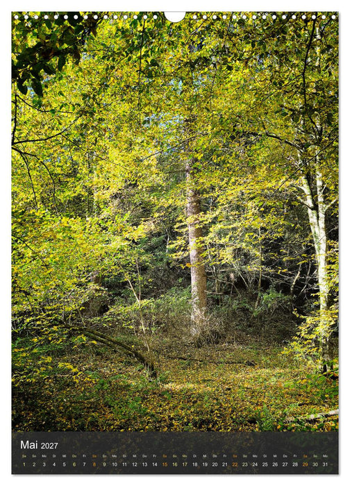 Eifel Traumpfad Höhlen- und Schluchtenstieg (CALVENDO Wandkalender 2027)