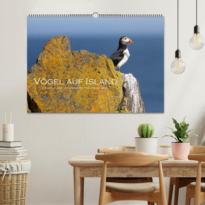 Vögel auf Island (CALVENDO Wandkalender 2027)