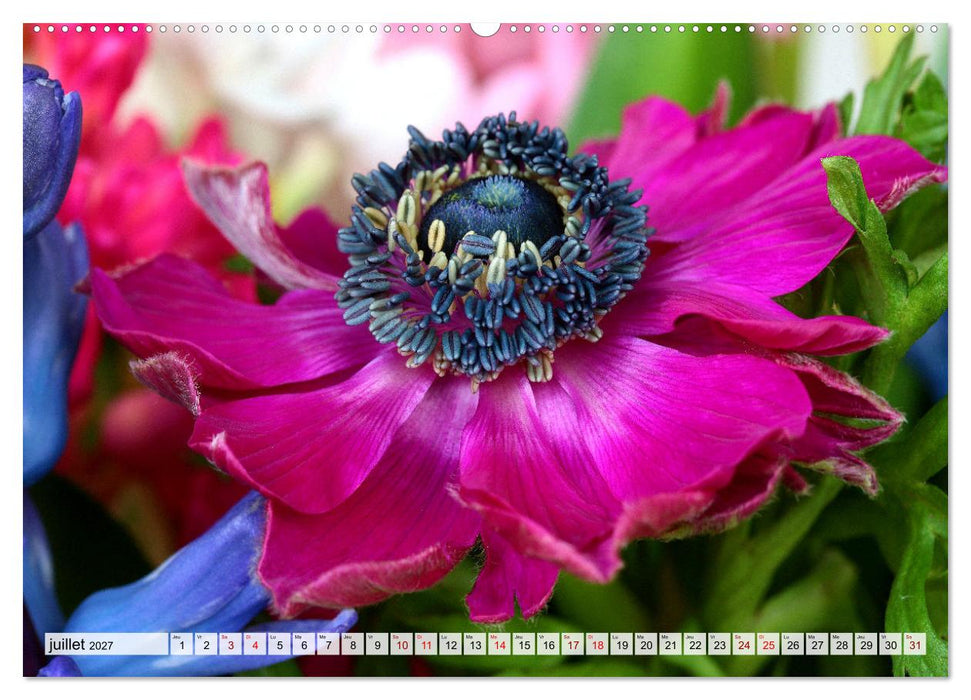 Plaisir des fleurs (CALVENDO Calendrier supérieur 2027)