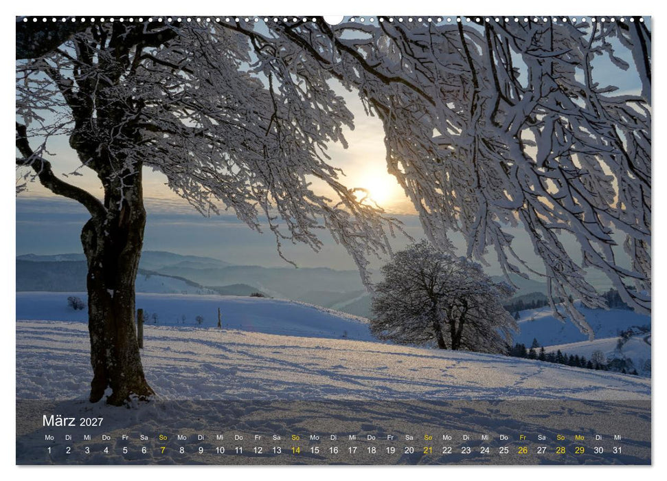 Faszination Schwarzwald (CALVENDO Wandkalender 2027)