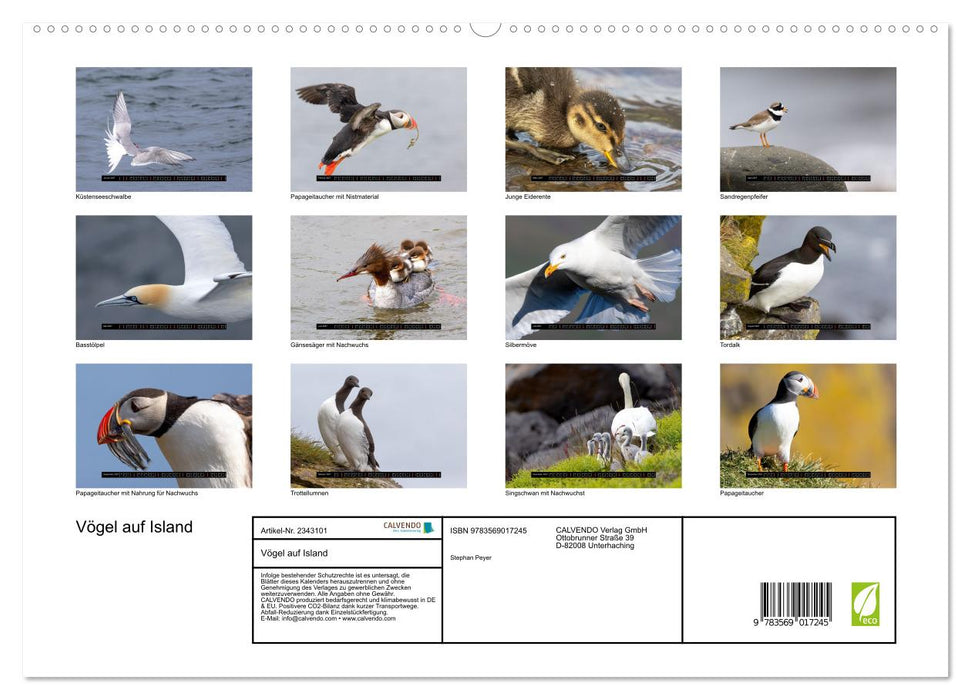 Vögel auf Island (CALVENDO Premium Wandkalender 2027)