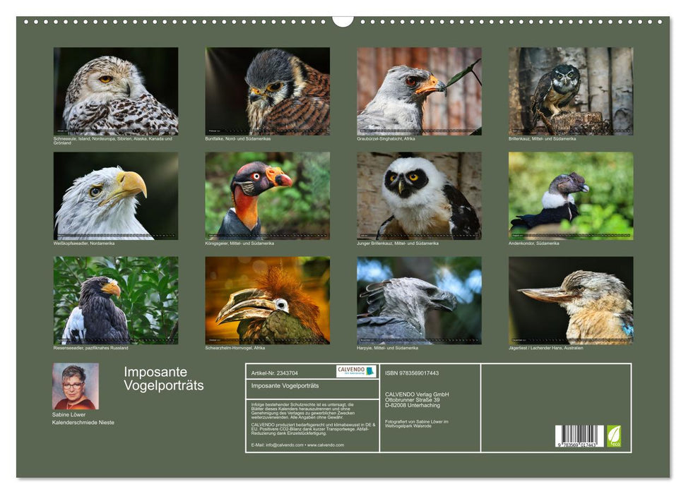 Imposante Vogelporträts (CALVENDO Wandkalender 2027)