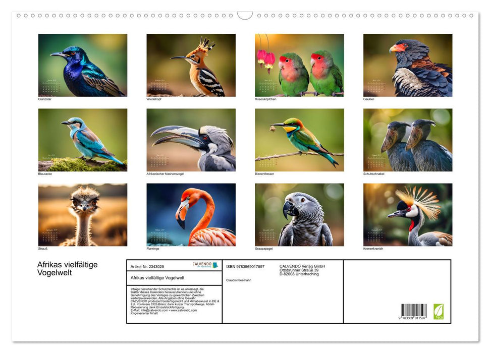 Afrikas vielfältige Vogelwelt (CALVENDO Wandkalender 2027)
