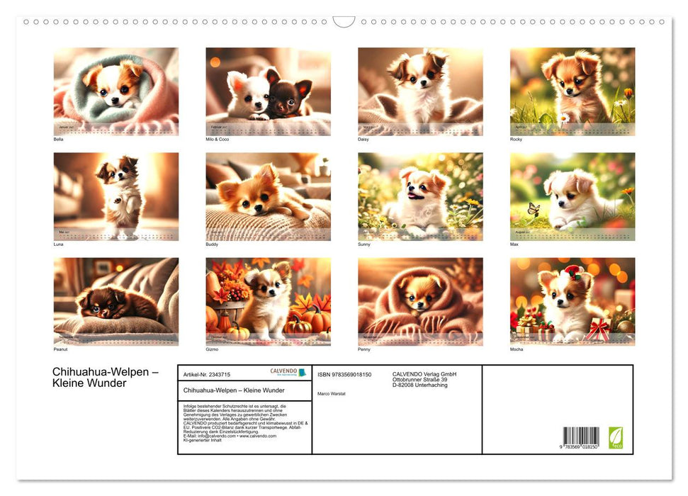 Chihuahua-Welpen – Kleine Wunder (CALVENDO Wandkalender 2027)