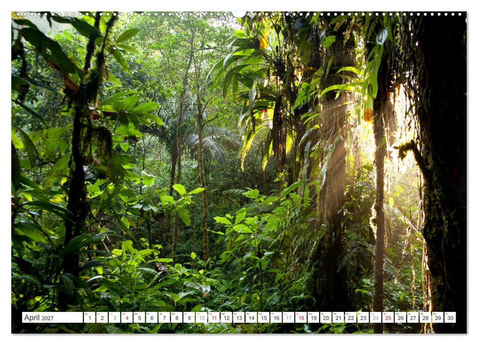 Faszination Naturwunder (CALVENDO Wandkalender 2027)