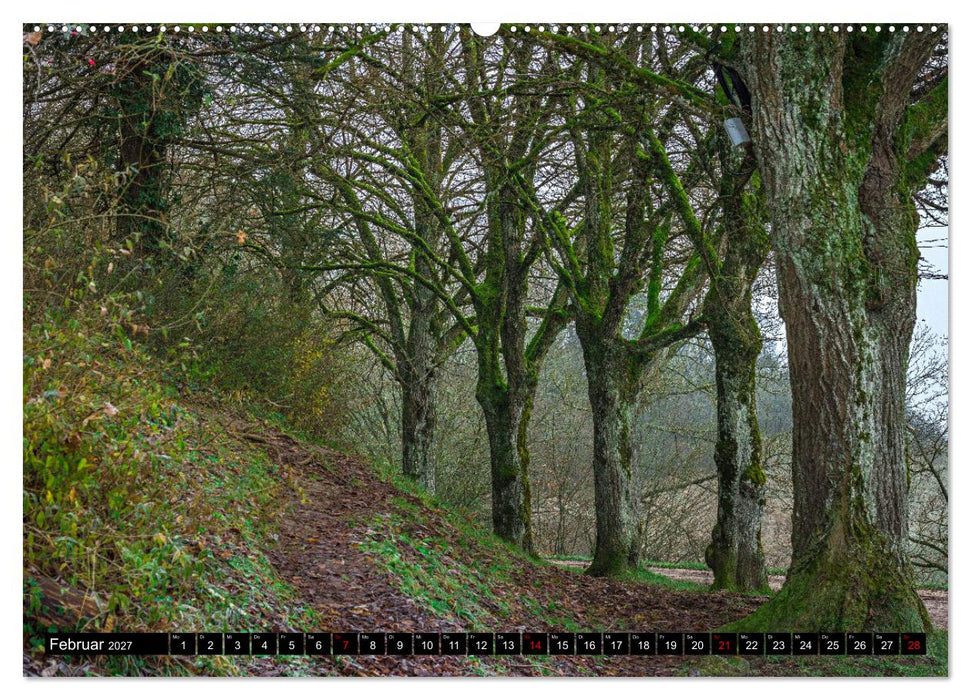 Herbst rund um den Bodensee (CALVENDO Wandkalender 2027)
