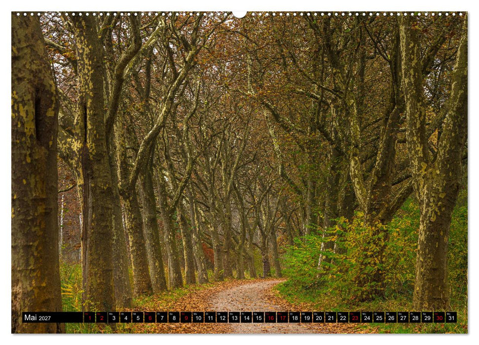 Herbst rund um den Bodensee (CALVENDO Wandkalender 2027)