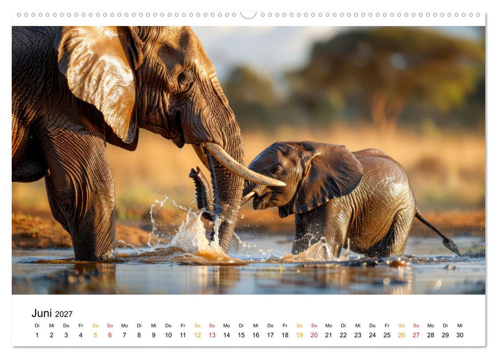 Elefanten - Riesen der Wildnis (CALVENDO Premium Wandkalender 2027)