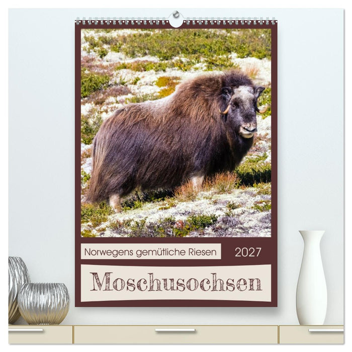 Moschusochsen - Norwegens gemütliche Riesen (CALVENDO Premium Wandkalender 2027)