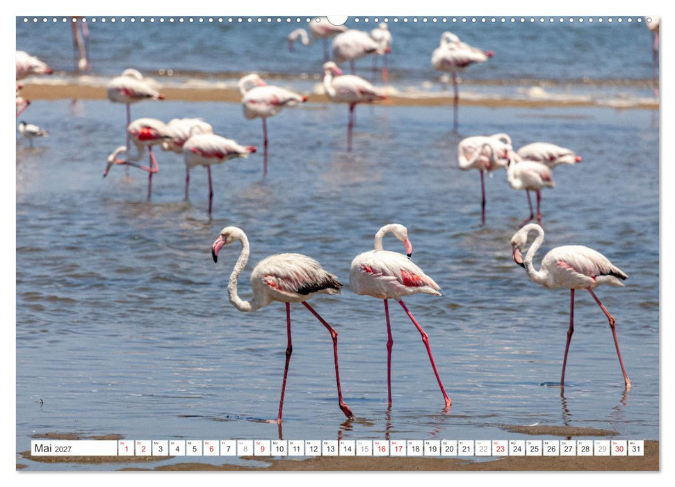 Afrika - Namibia (CALVENDO Premium Wandkalender 2027)