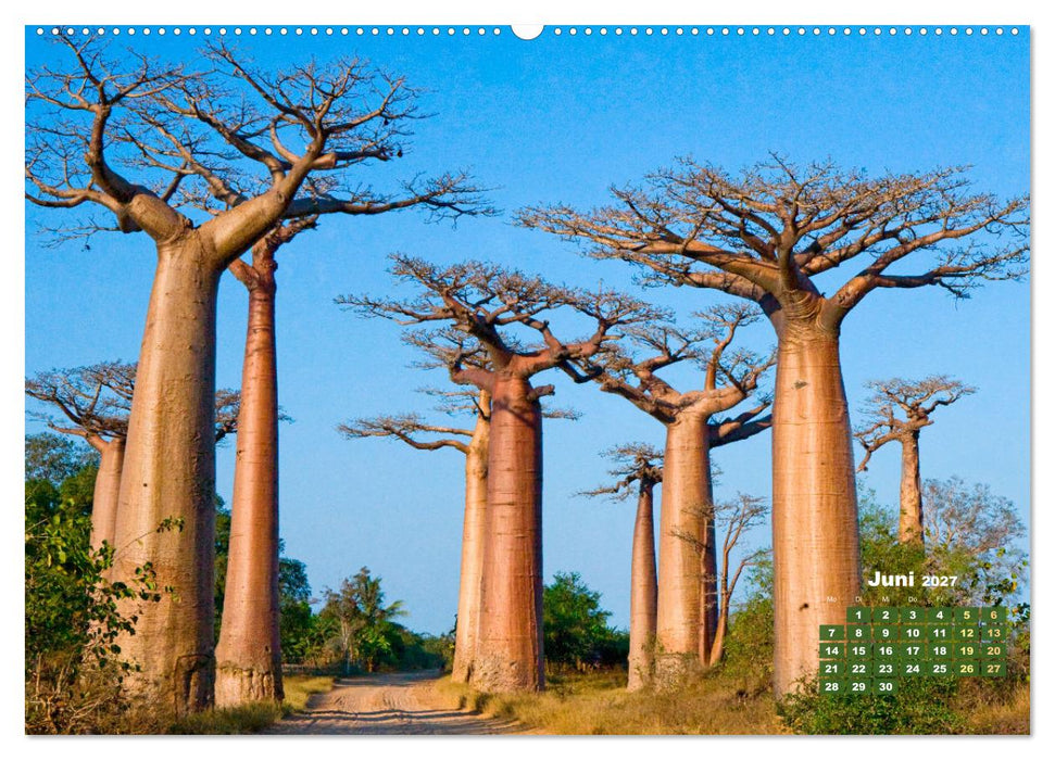 Alleen: Der Weg ist das Ziel (CALVENDO Premium Wandkalender 2027)