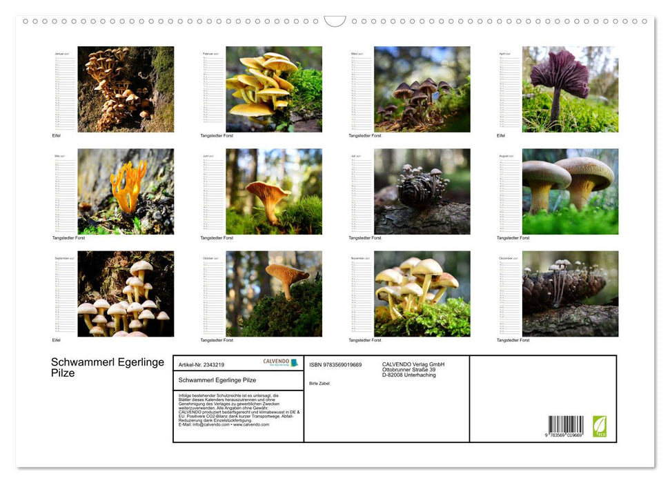 Schwammerl Egerlinge Pilze (CALVENDO Wandkalender 2027)