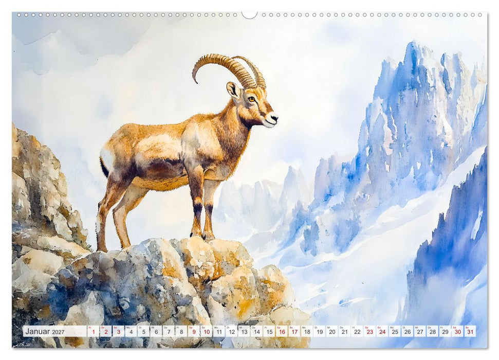 Wildtiere Europas - Farbwelt der heimischen Fauna (CALVENDO Wandkalender 2027)