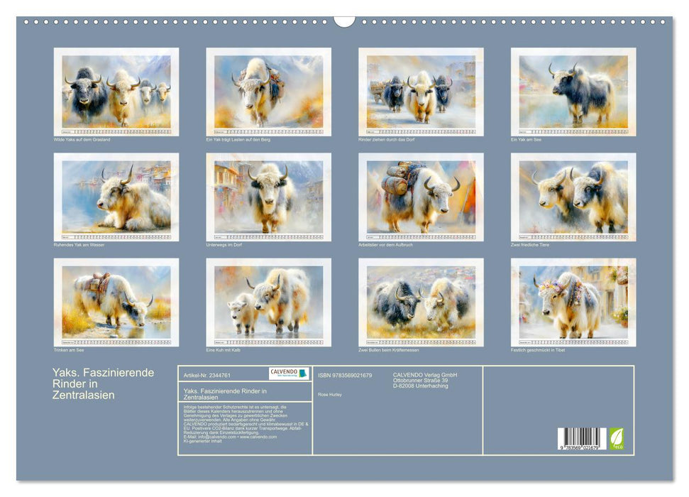 Yaks. Faszinierende Rinder in Zentralasien (CALVENDO Wandkalender 2027)