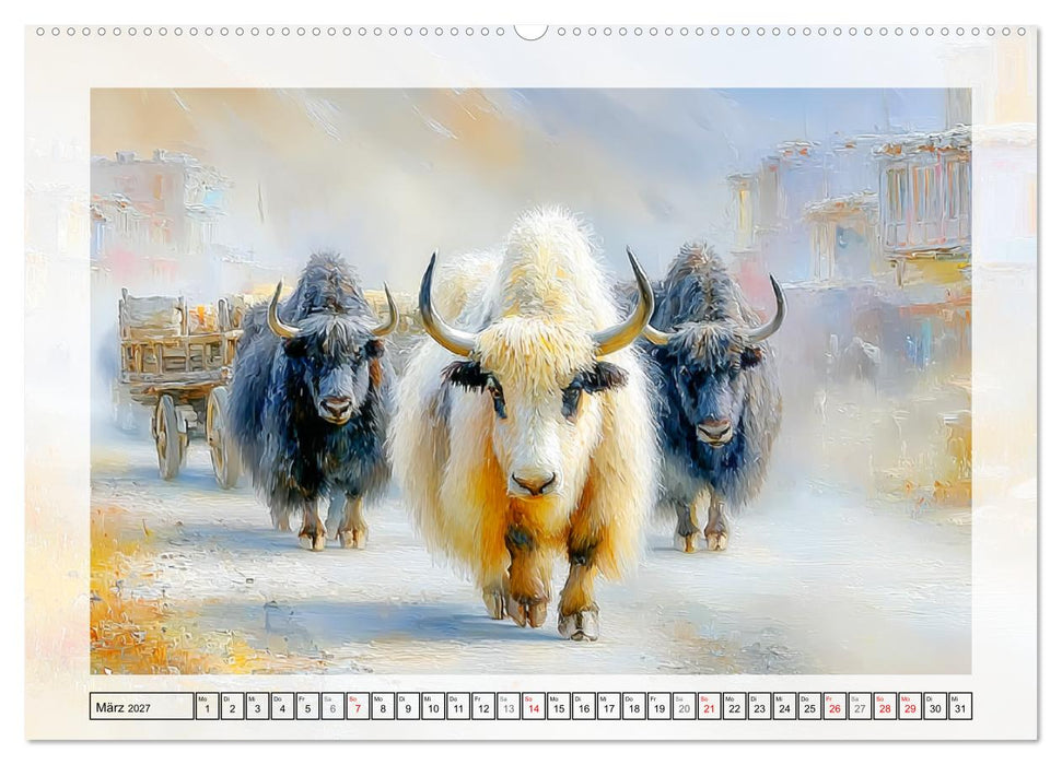 Yaks. Faszinierende Rinder in Zentralasien (CALVENDO Wandkalender 2027)