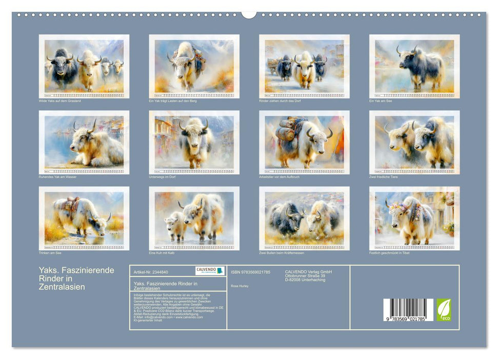 Yaks. Faszinierende Rinder in Zentralasien (CALVENDO Premium Wandkalender 2027)
