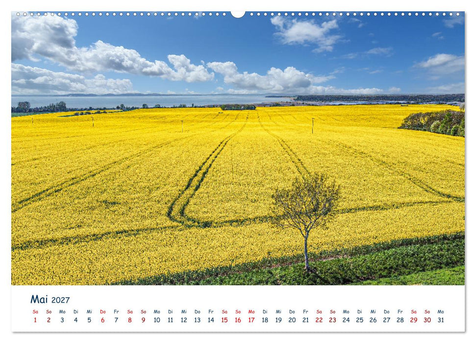 Verliebt in Rügen (CALVENDO Wandkalender 2027)