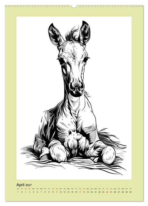 Sketchy Power Horses (CALVENDO Premium-Calendar 2027)