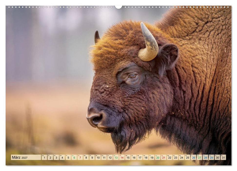 Die größten Tiere in Deutschland (CALVENDO Premium Wandkalender 2027)