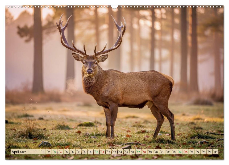 Die größten Tiere in Deutschland (CALVENDO Premium Wandkalender 2027)