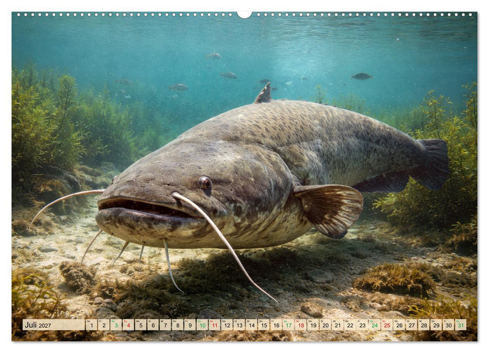Die größten Tiere in Deutschland (CALVENDO Premium Wandkalender 2027)