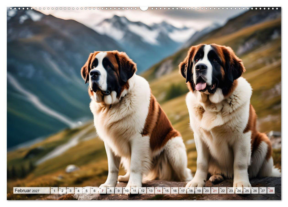 Gigant Bernhardiner (CALVENDO Premium Wandkalender 2027)