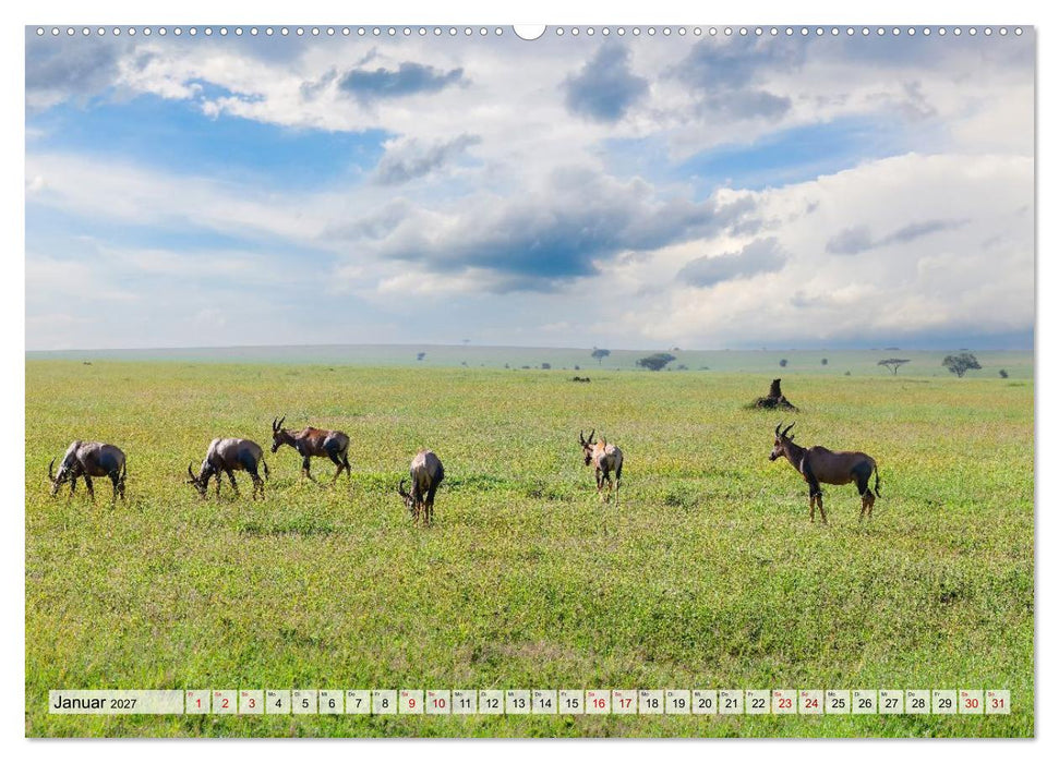Das Herz der Wildnis (CALVENDO Wandkalender 2027)
