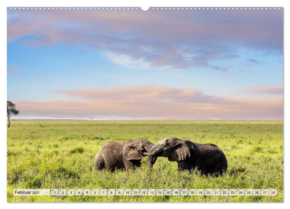 Das Herz der Wildnis (CALVENDO Wandkalender 2027)