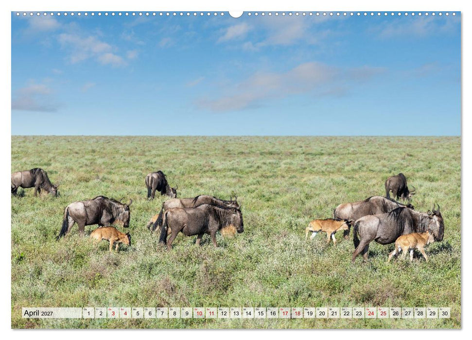 Das Herz der Wildnis (CALVENDO Wandkalender 2027)
