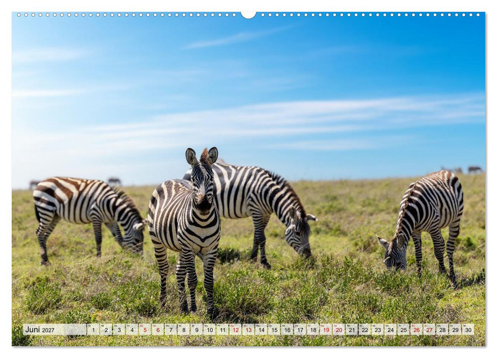 Das Herz der Wildnis (CALVENDO Wandkalender 2027)