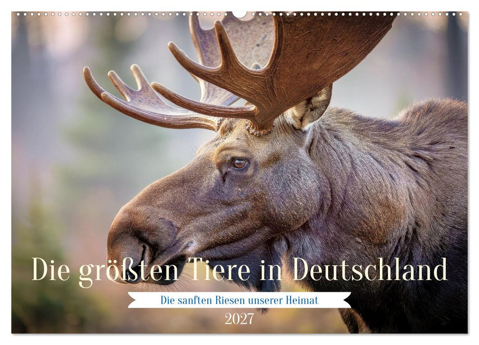 Die größten Tiere in Deutschland (CALVENDO Wandkalender 2027)