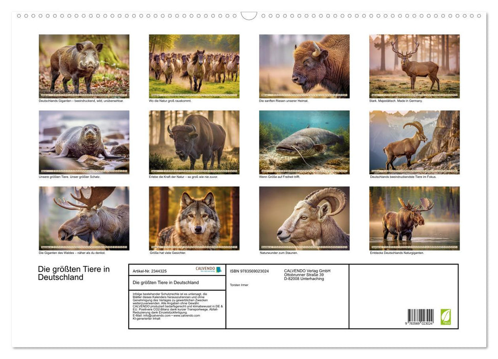 Die größten Tiere in Deutschland (CALVENDO Wandkalender 2027)