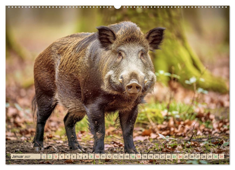 Die größten Tiere in Deutschland (CALVENDO Wandkalender 2027)