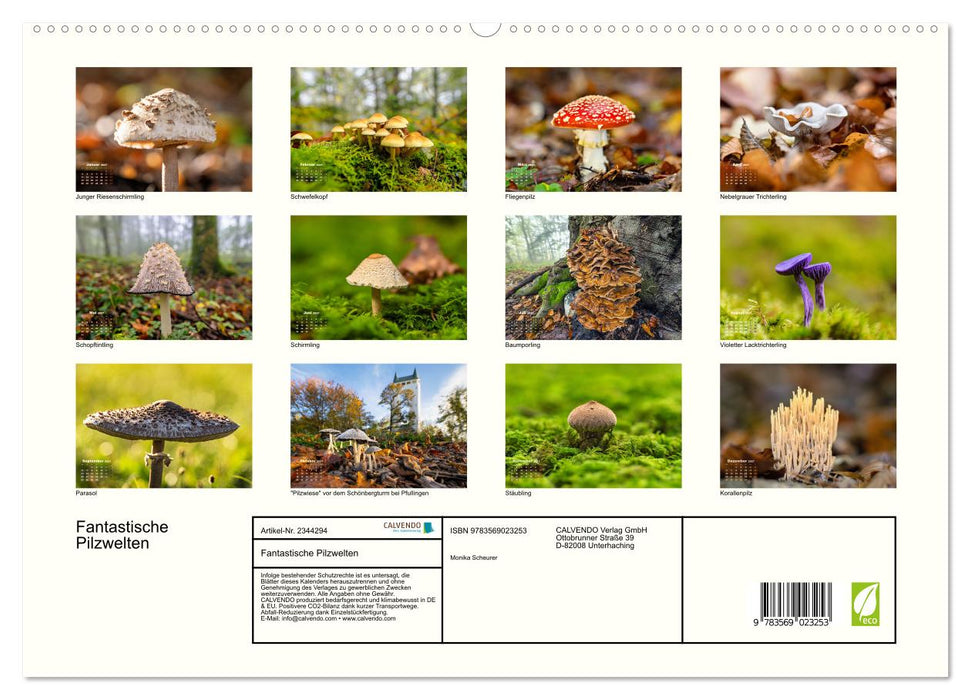 Fantastische Pilzwelten (CALVENDO Premium Wandkalender 2027)